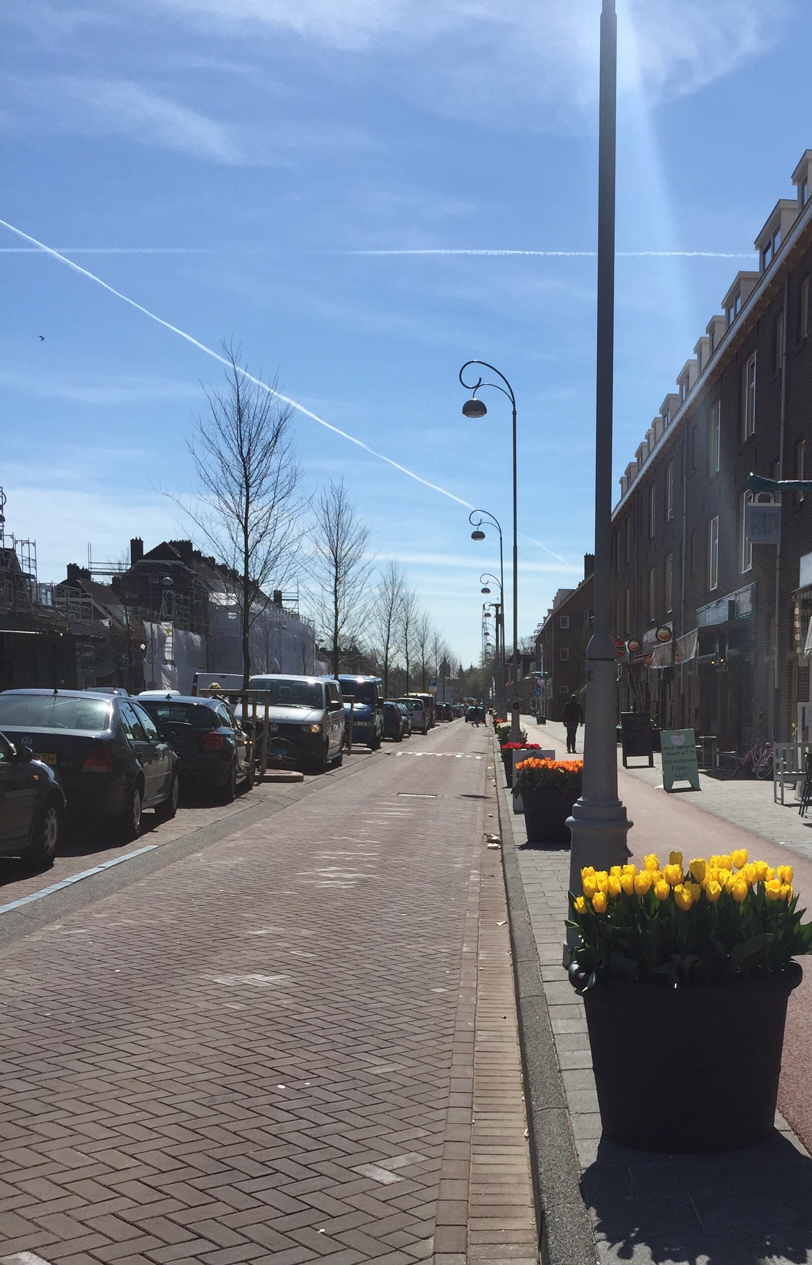 Prachtige tulpenbakken sieren de staat in de Van de Pekstraat in Amsterdam Noord.