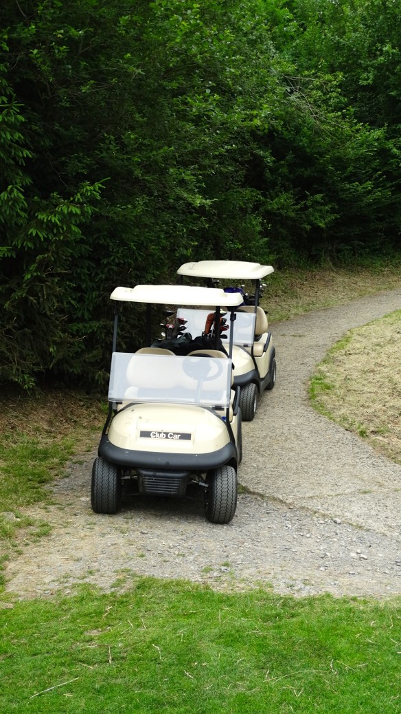 My best friend The BUGGY