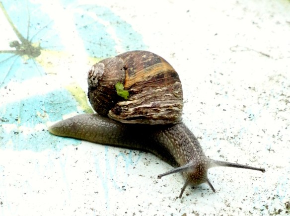 We zijn maar even iets voor ons zelf gaan doen....Ik fotograferen en Emma kleuren....!