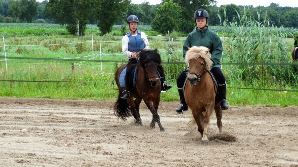 Heerlijk in de bak crossen of in het bos met je favoriete paard