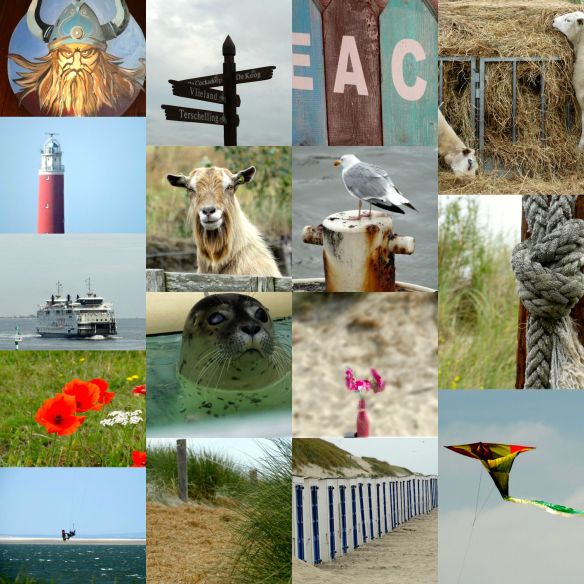 Collage Texel