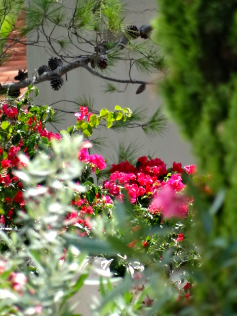 Heerlijk genieten van de tuin.