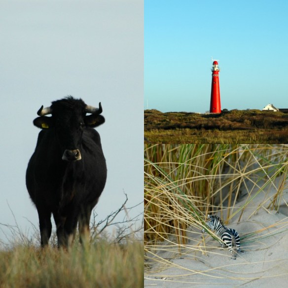 Schiermonnikoog