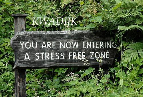 14089200_1683407648645922_8725606759866546446_n