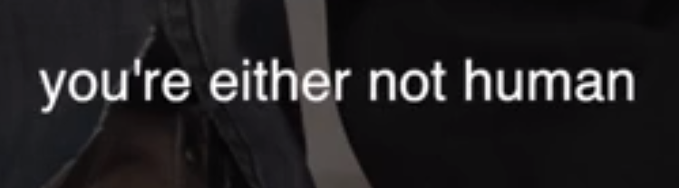 Schermafbeelding 2017-12-08 om 18.56.56