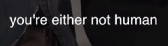 Schermafbeelding 2017-12-08 om 18.56.56